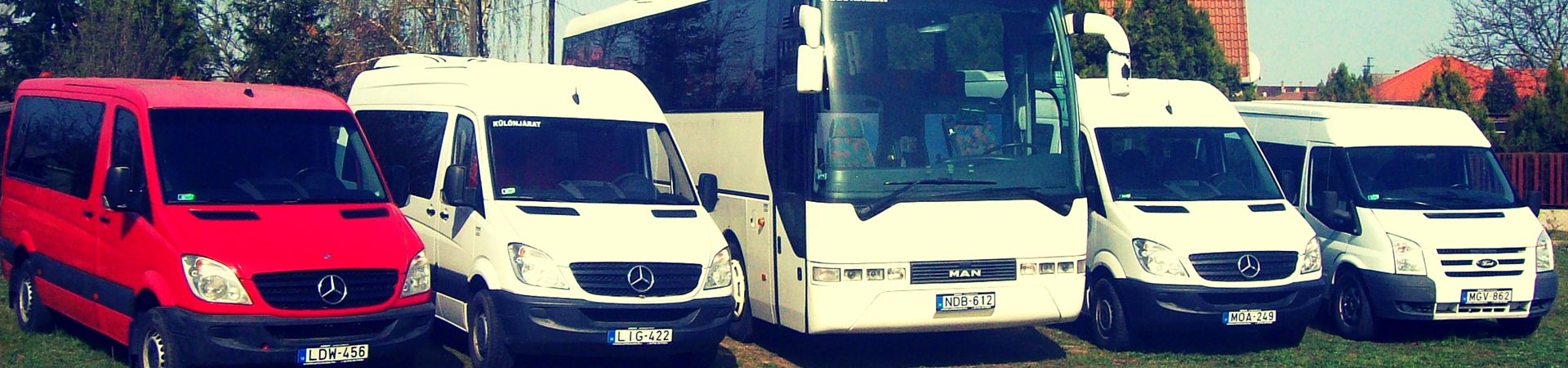 Buszok bérlésre