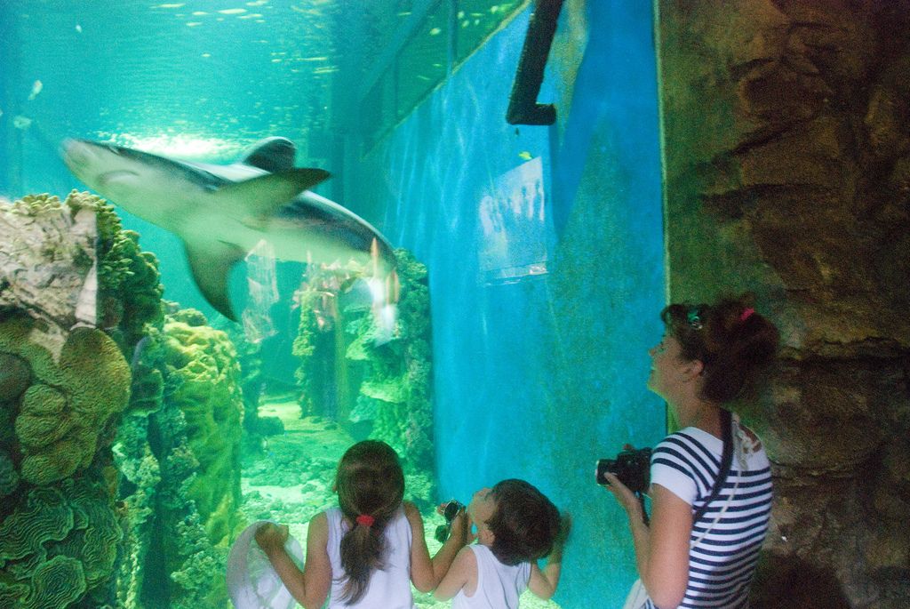 hétvégi buszos kirándulás